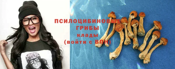 прущие грибы Остров