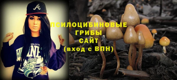 ECSTASY Губаха