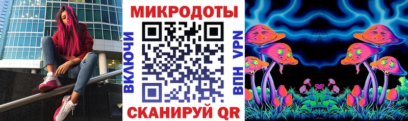сколько стоит  Ряжск  Псилоцибиновые грибы Cubensis 