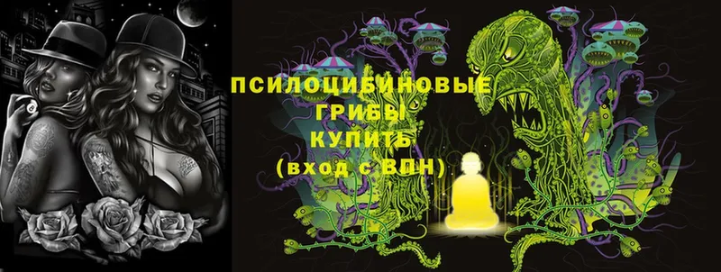 купить  цена  Ряжск  Псилоцибиновые грибы Magic Shrooms 